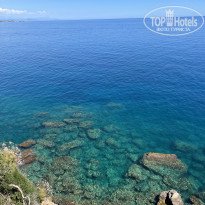 фото из отзыва ID 2286186