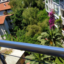 фото из отзыва ID 2286183