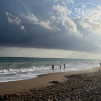 фото из отзыва ID 2286247