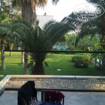 фото из отзыва ID 2286247