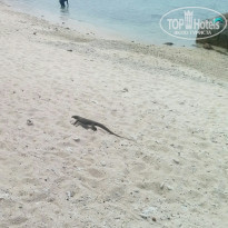 фото из отзыва ID 2286321