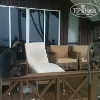 фото из отзыва ID 2286321