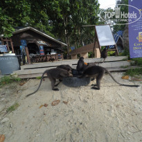 фото из отзыва ID 2286321