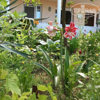 фото из отзыва ID 2286054