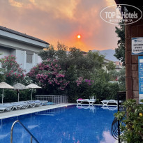 фото из отзыва ID 2286364