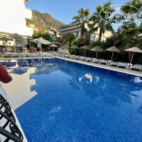 фото из отзыва ID 2286364