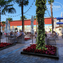 фото из отзыва ID 2286466