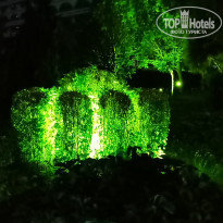 фото из отзыва ID 2286492