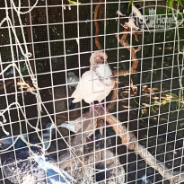 фото из отзыва ID 2286492