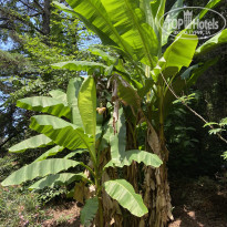 фото из отзыва ID 2286541