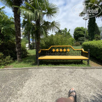 фото из отзыва ID 2286541