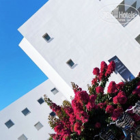 фото из отзыва ID 2286756