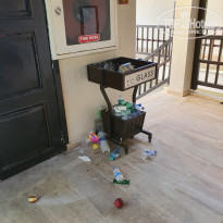 фото из отзыва ID 2286822