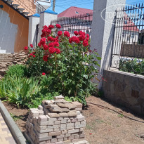 фото из отзыва ID 2286842