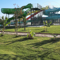 фото из отзыва ID 2286913