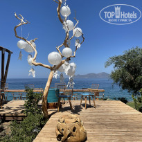 фото из отзыва ID 2287018