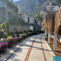 фото из отзыва ID 2287018