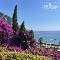 фото из отзыва ID 2287018