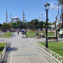 фото из отзыва ID 2283670