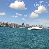 фото из отзыва ID 2283670