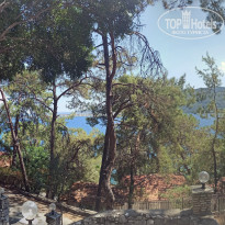 фото из отзыва ID 2287112