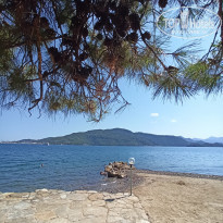 фото из отзыва ID 2287112