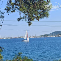 фото из отзыва ID 2287112