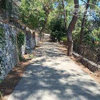 фото из отзыва ID 2287112