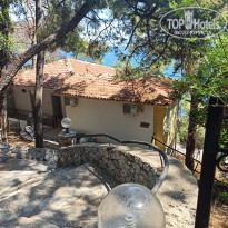 фото из отзыва ID 2287112