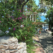 фото из отзыва ID 2287112