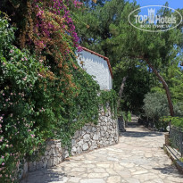 фото из отзыва ID 2287112