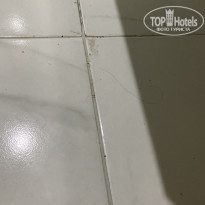 фото из отзыва ID 2287308