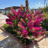 фото из отзыва ID 2287329