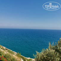 фото из отзыва ID 2286804