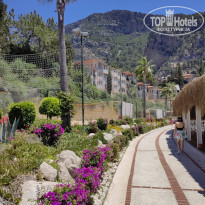 фото из отзыва ID 2287523