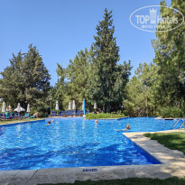 фото из отзыва ID 2287523