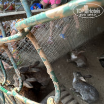 фото из отзыва ID 2287513