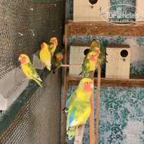 фото из отзыва ID 2287513