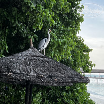 фото из отзыва ID 2287511