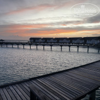 фото из отзыва ID 2287511