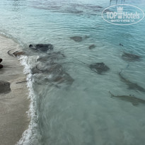 фото из отзыва ID 2287511