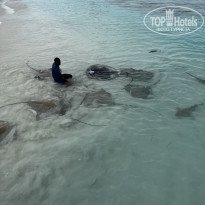 фото из отзыва ID 2287511