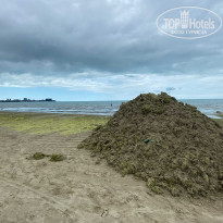 фото из отзыва ID 2287545