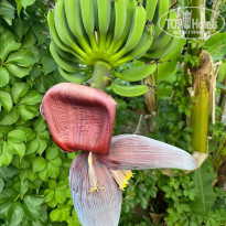 фото из отзыва ID 2287580