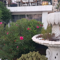 фото из отзыва ID 2287582