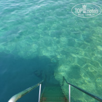 фото из отзыва ID 2287607