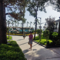 фото из отзыва ID 2287610