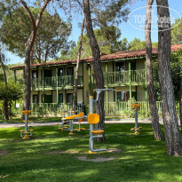 фото из отзыва ID 2287610