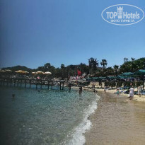 фото из отзыва ID 2287761