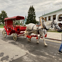 фото из отзыва ID 2287812